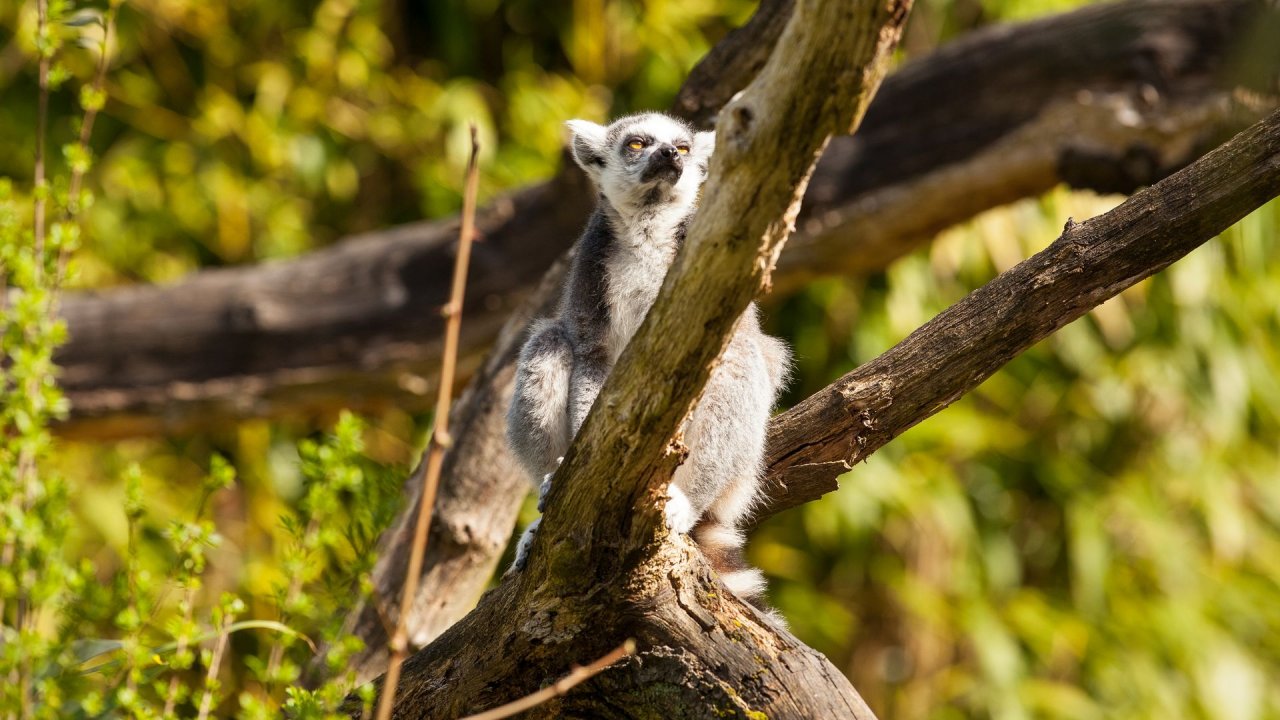 Zoo Duisburg-2017-050