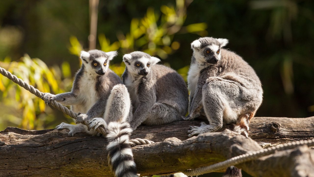 Zoo Duisburg-2017-051