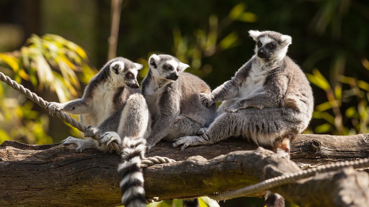 Zoo Duisburg-2017-052