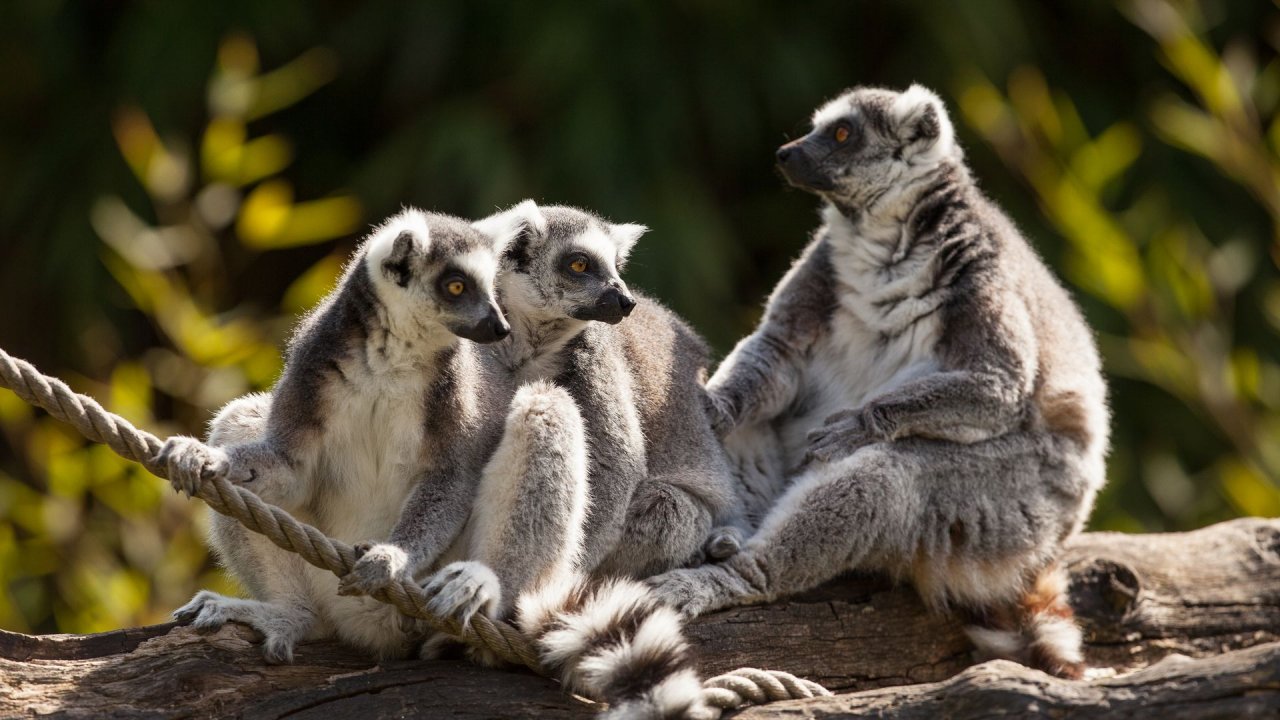 Zoo Duisburg-2017-053