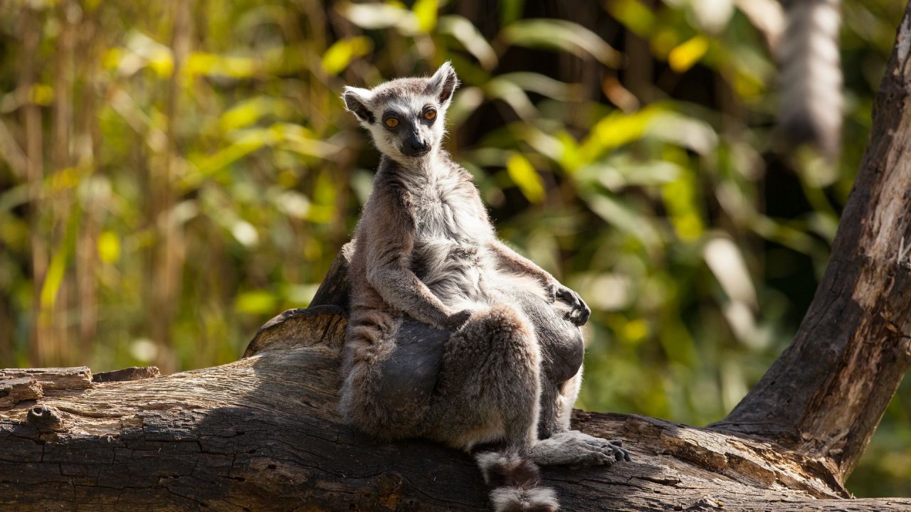 Zoo Duisburg-2017-054
