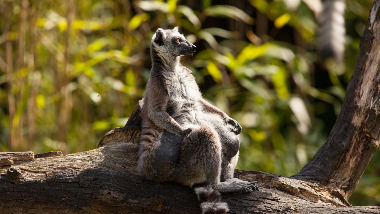 Zoo Duisburg-2017-055