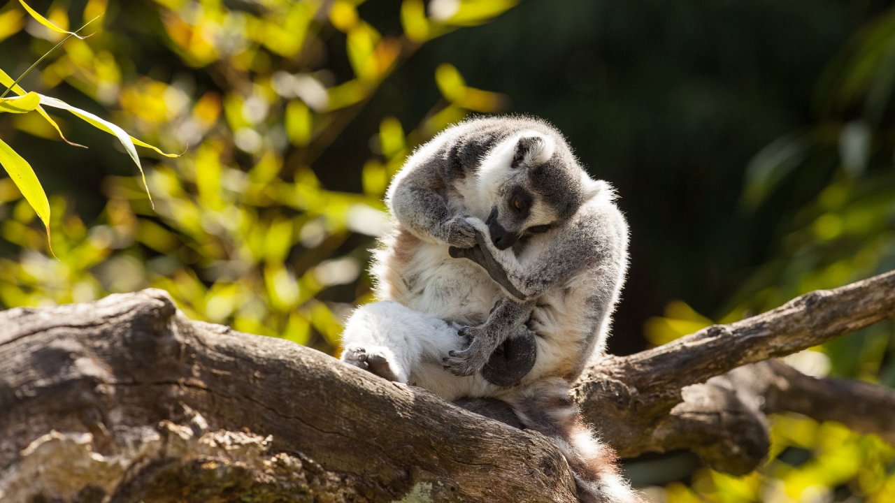 Zoo Duisburg-2017-056