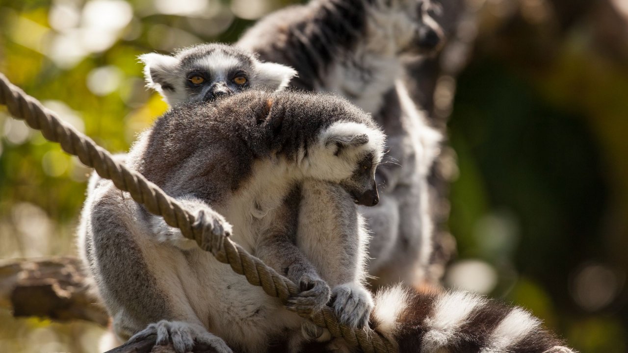 Zoo Duisburg-2017-057