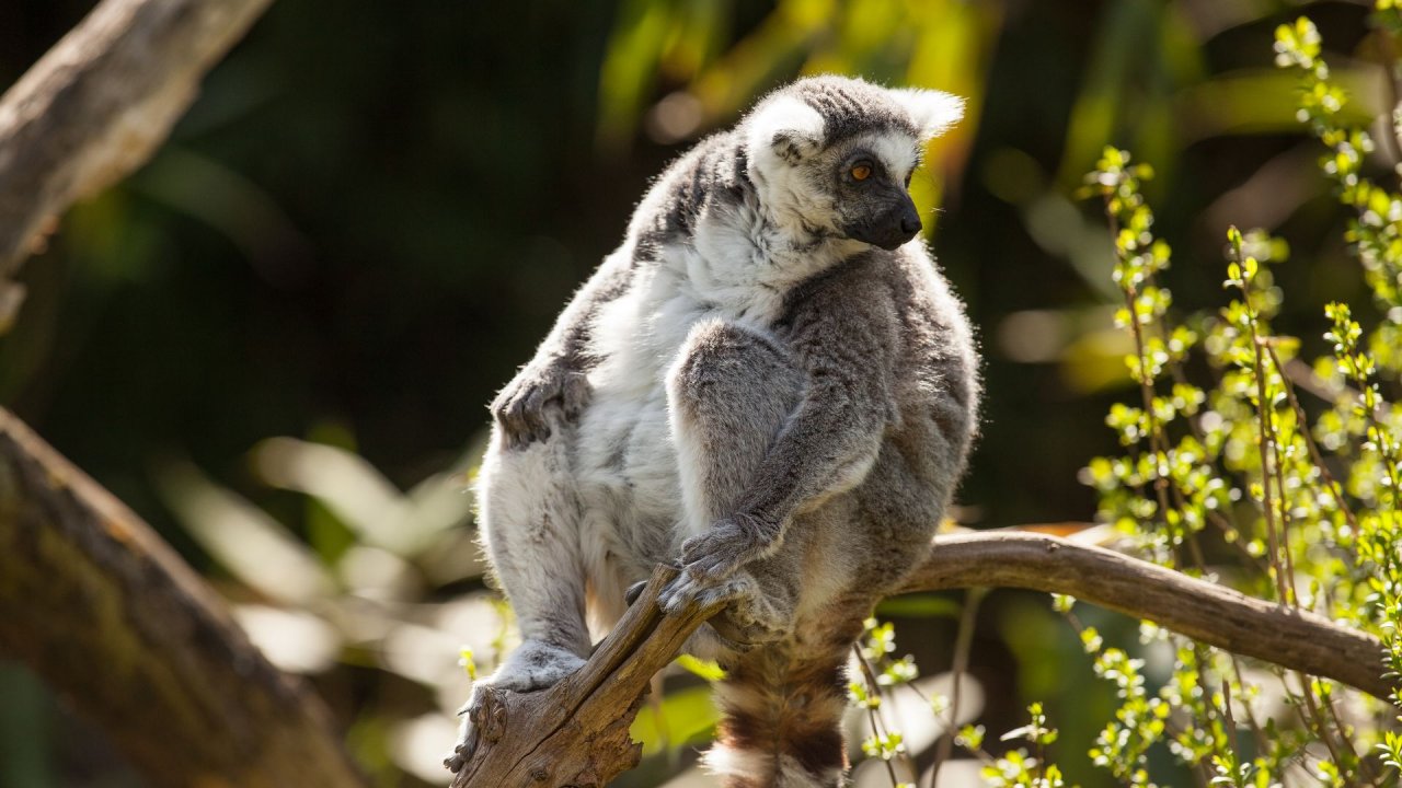 Zoo Duisburg-2017-058