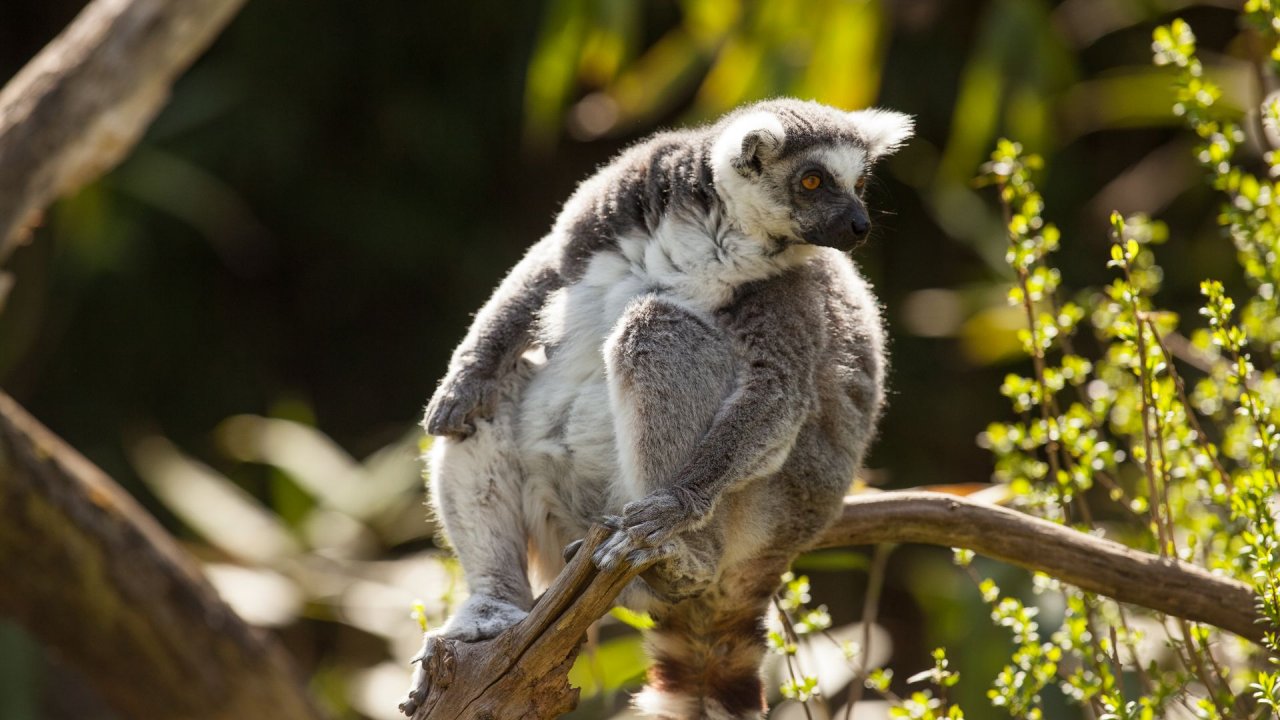 Zoo Duisburg-2017-059
