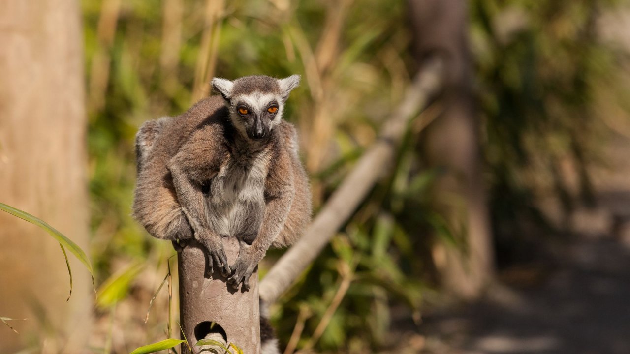 Zoo Duisburg-2017-060