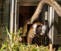 Zoo Duisburg-2017-062