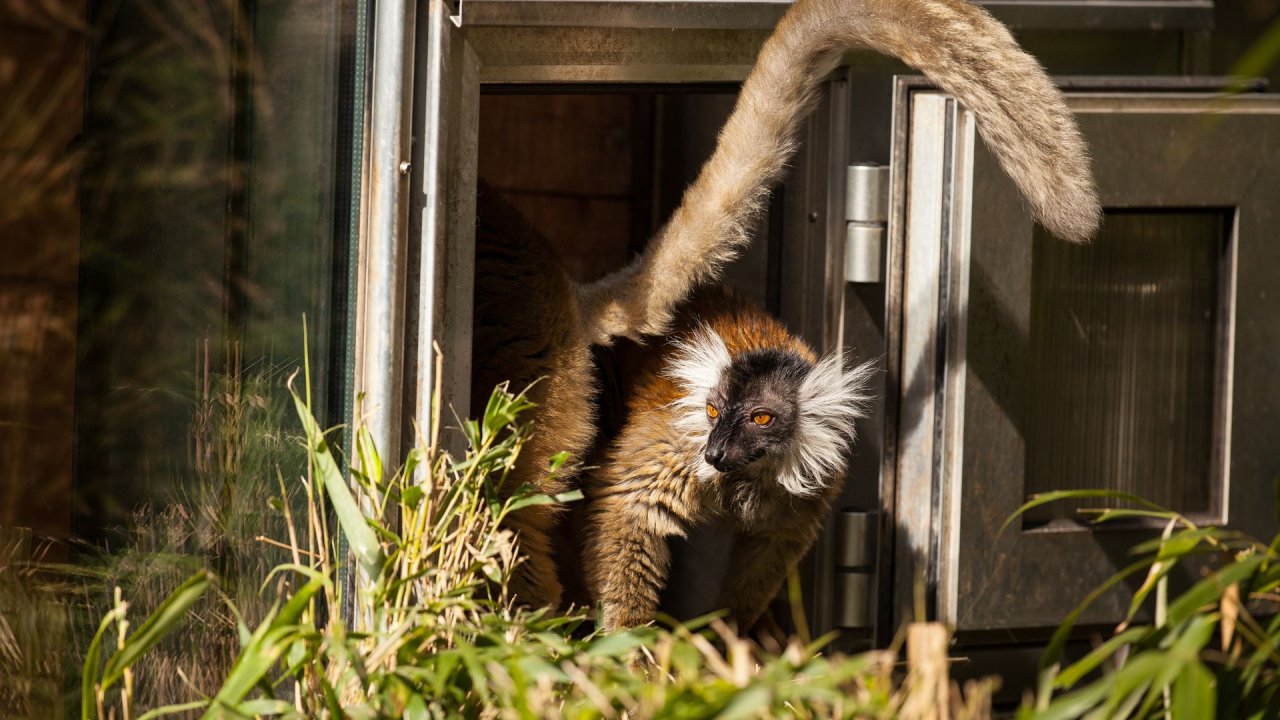 Zoo Duisburg-2017-062