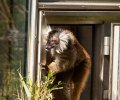 Zoo Duisburg-2017-063