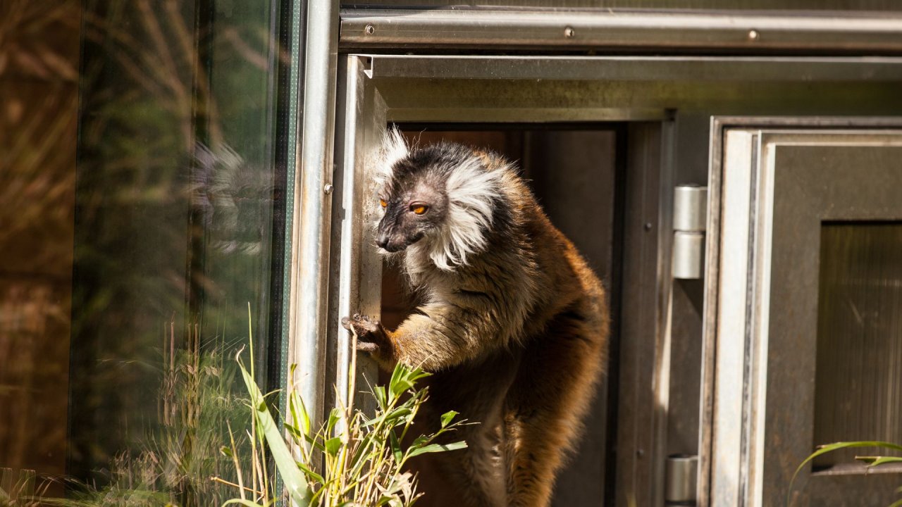 Zoo Duisburg-2017-063
