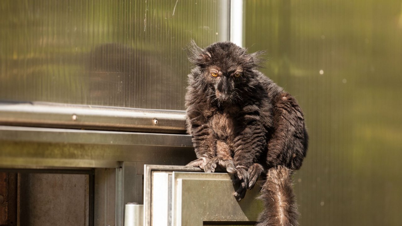 Zoo Duisburg-2017-064