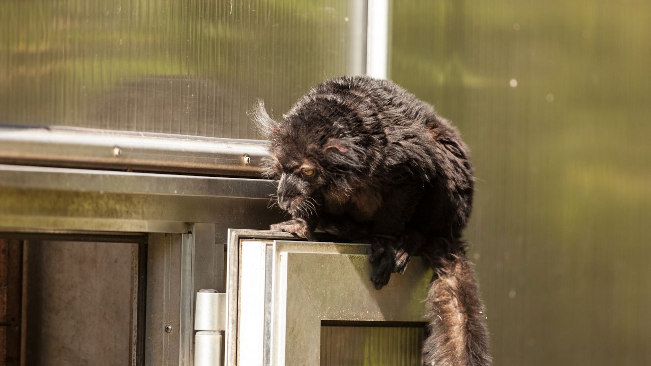 Zoo Duisburg-2017-065