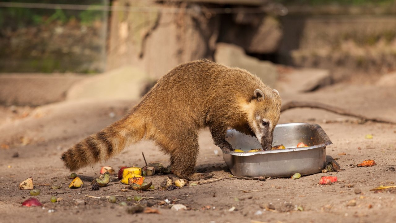 Zoo Duisburg-2017-069