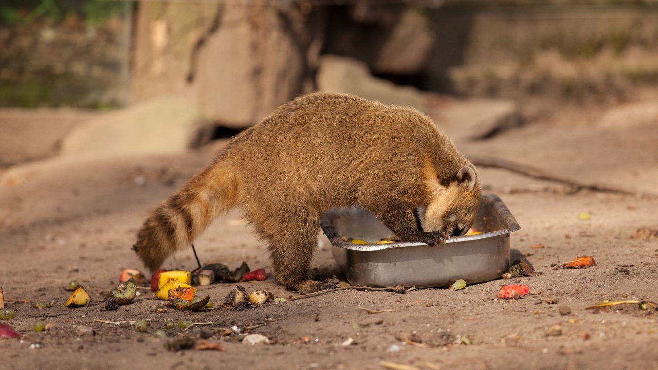 Zoo Duisburg-2017-070