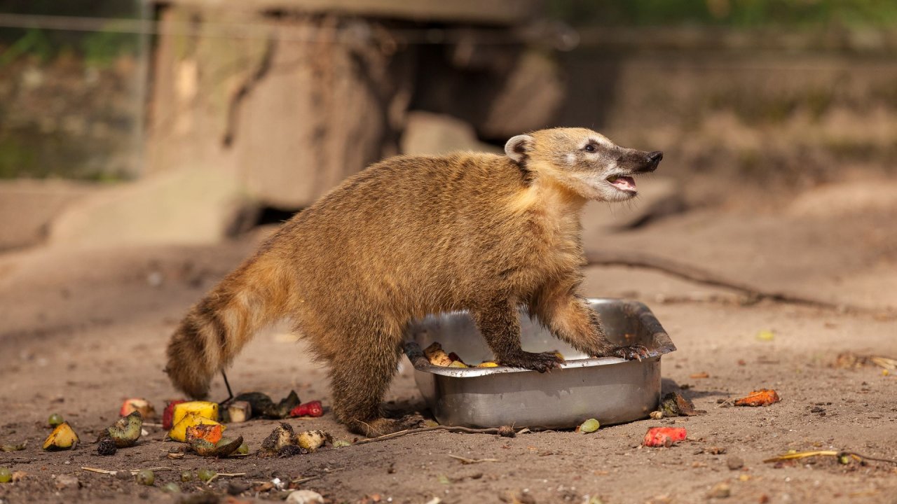 Zoo Duisburg-2017-071