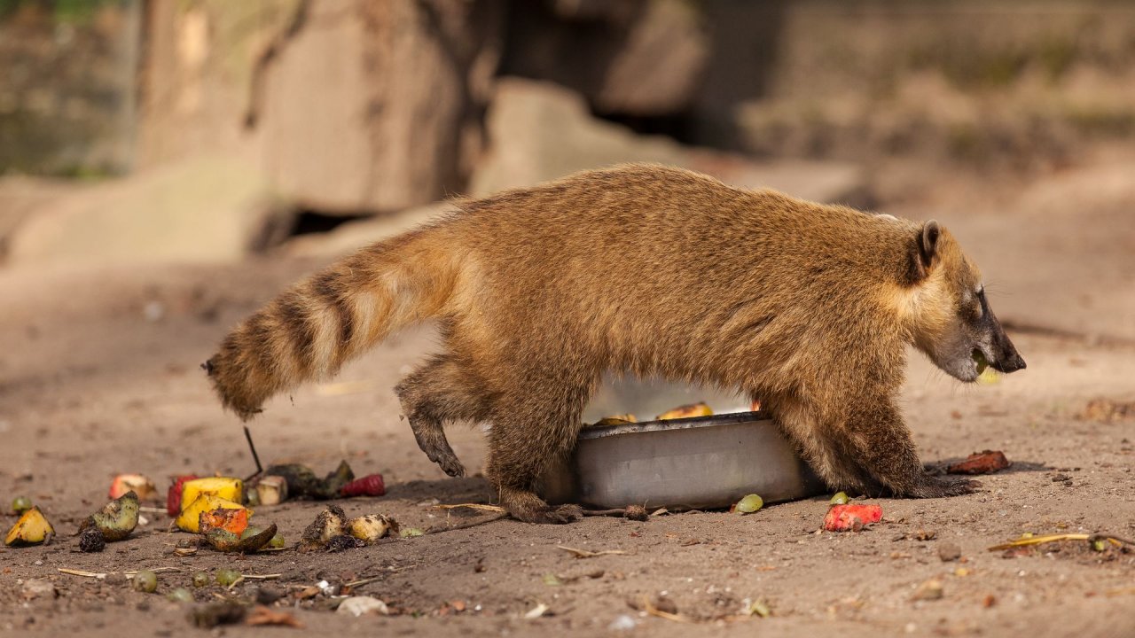 Zoo Duisburg-2017-072
