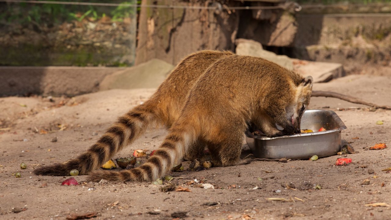 Zoo Duisburg-2017-073