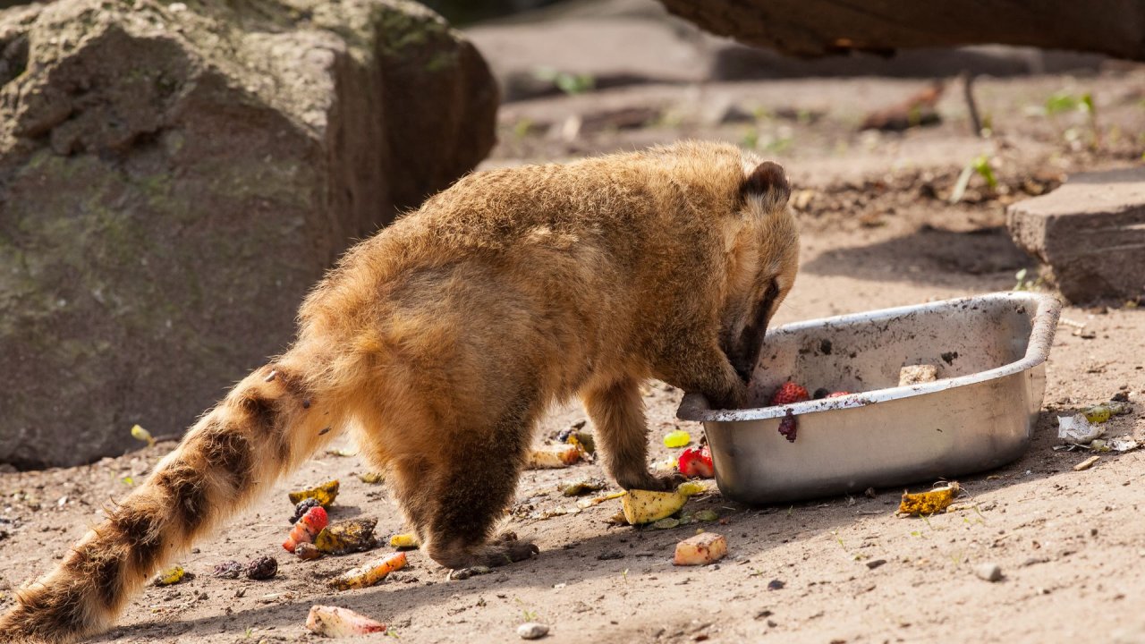 Zoo Duisburg-2017-075