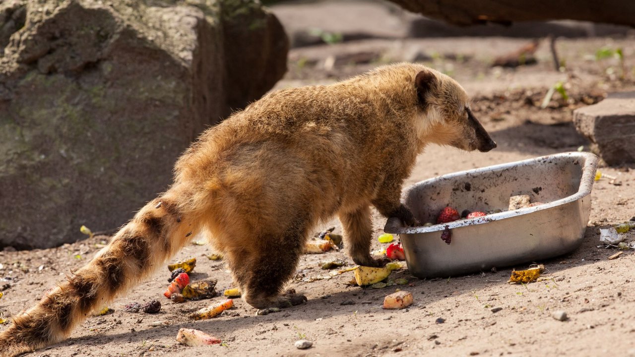 Zoo Duisburg-2017-076