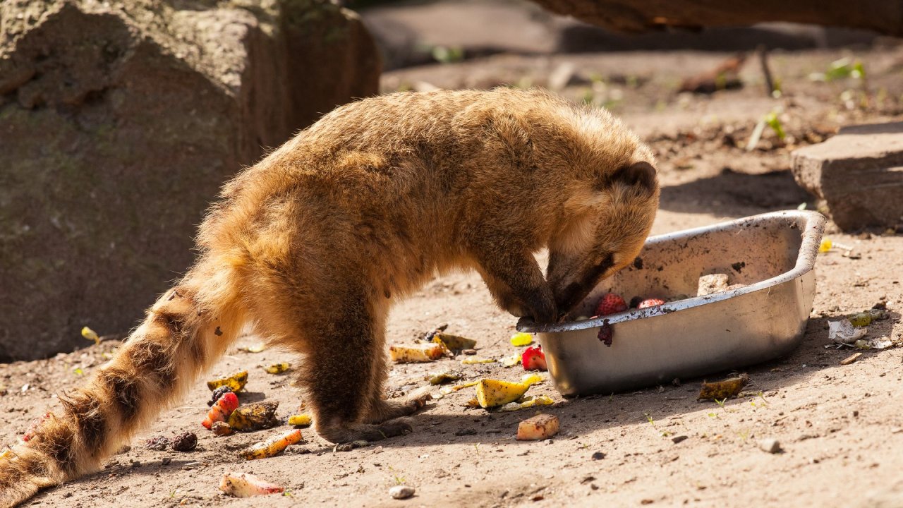 Zoo Duisburg-2017-077