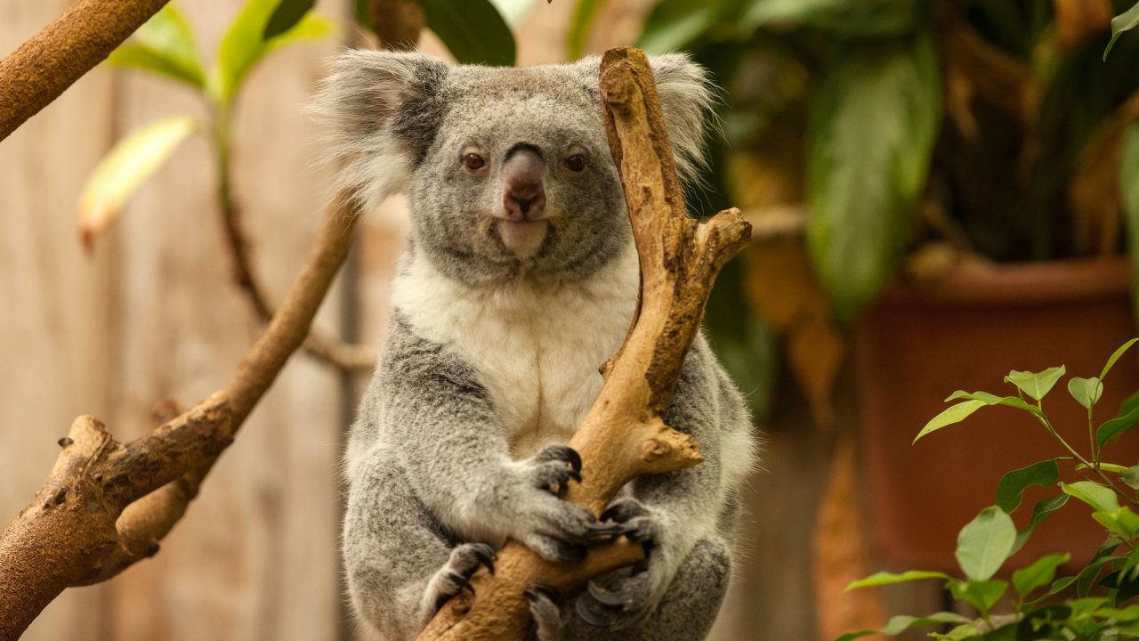 Zoo Duisburg-2017-079
