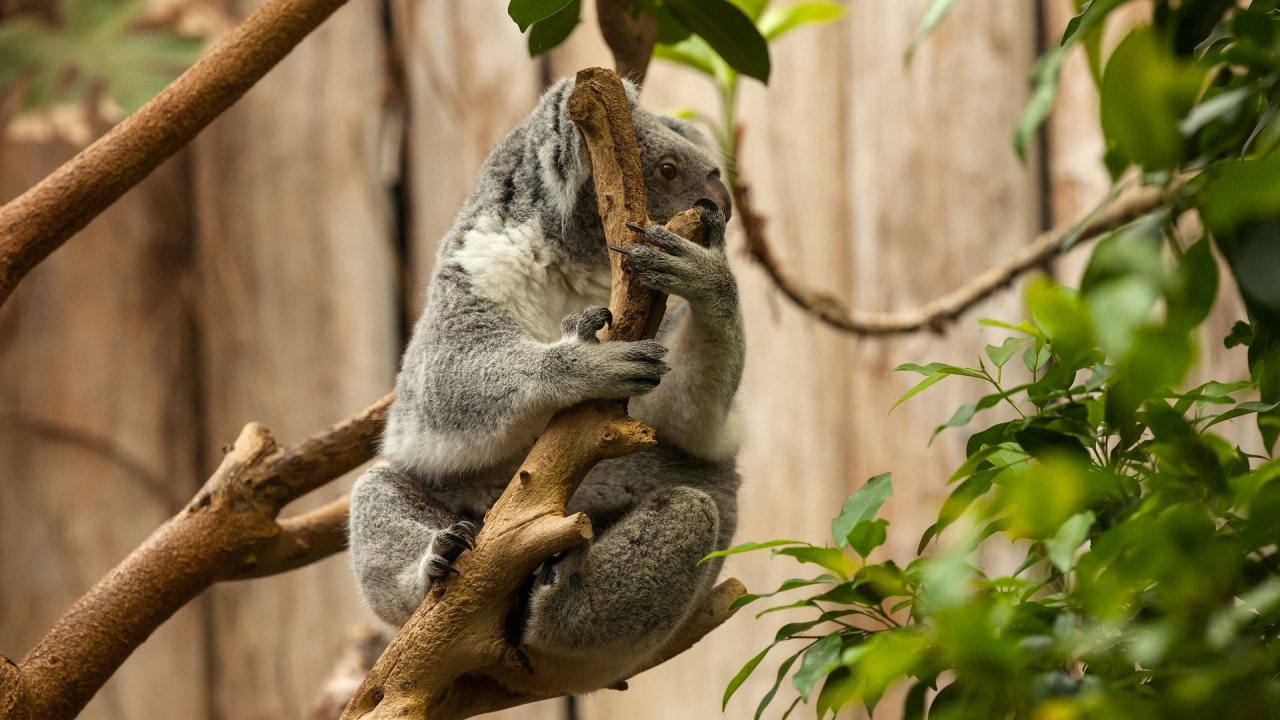 Zoo Duisburg-2017-080