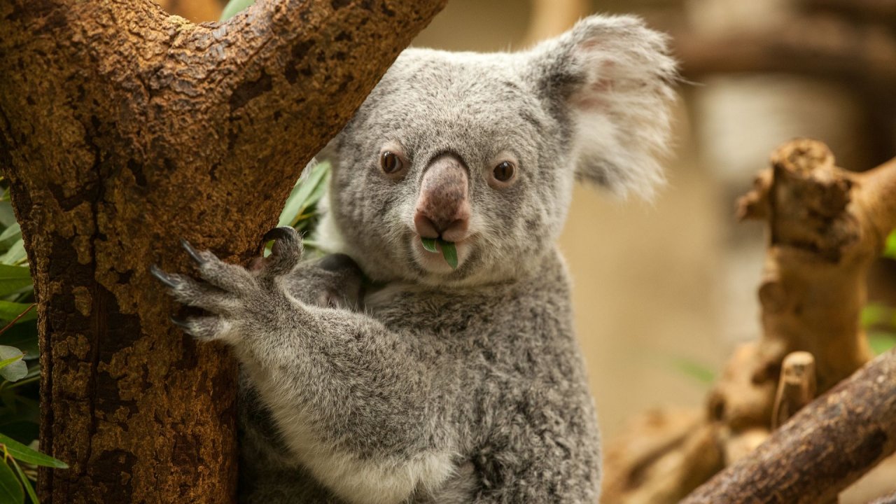 Zoo Duisburg-2017-085