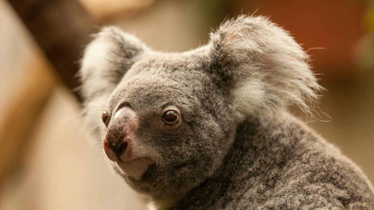 Zoo Duisburg-2017-086