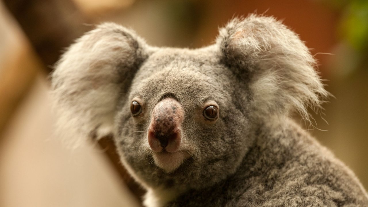Zoo Duisburg-2017-087