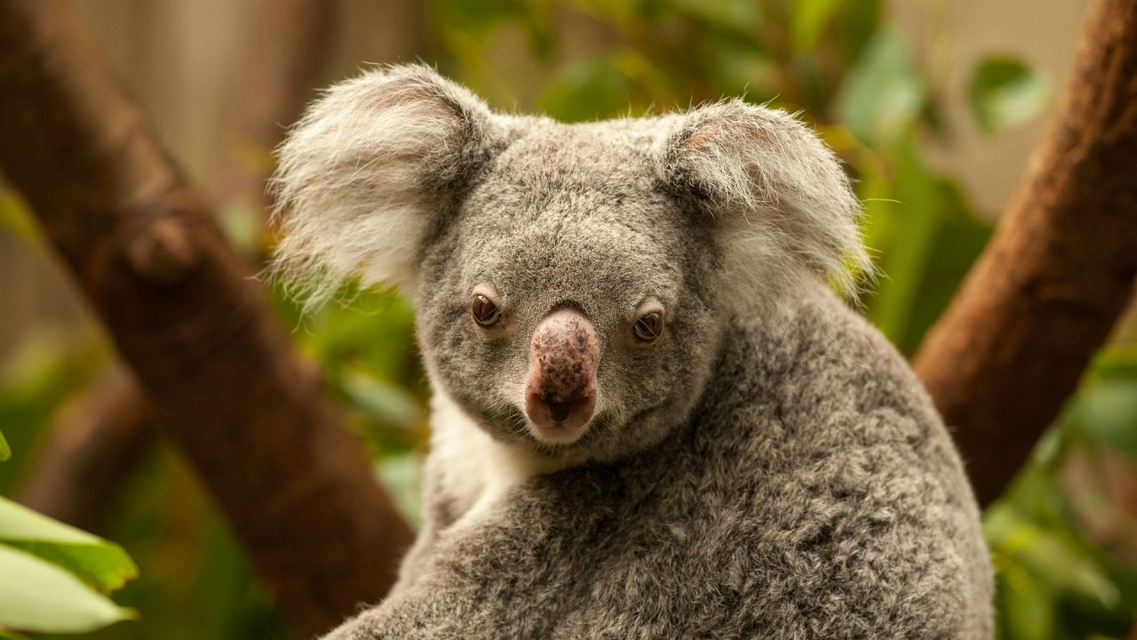 Zoo Duisburg-2017-088