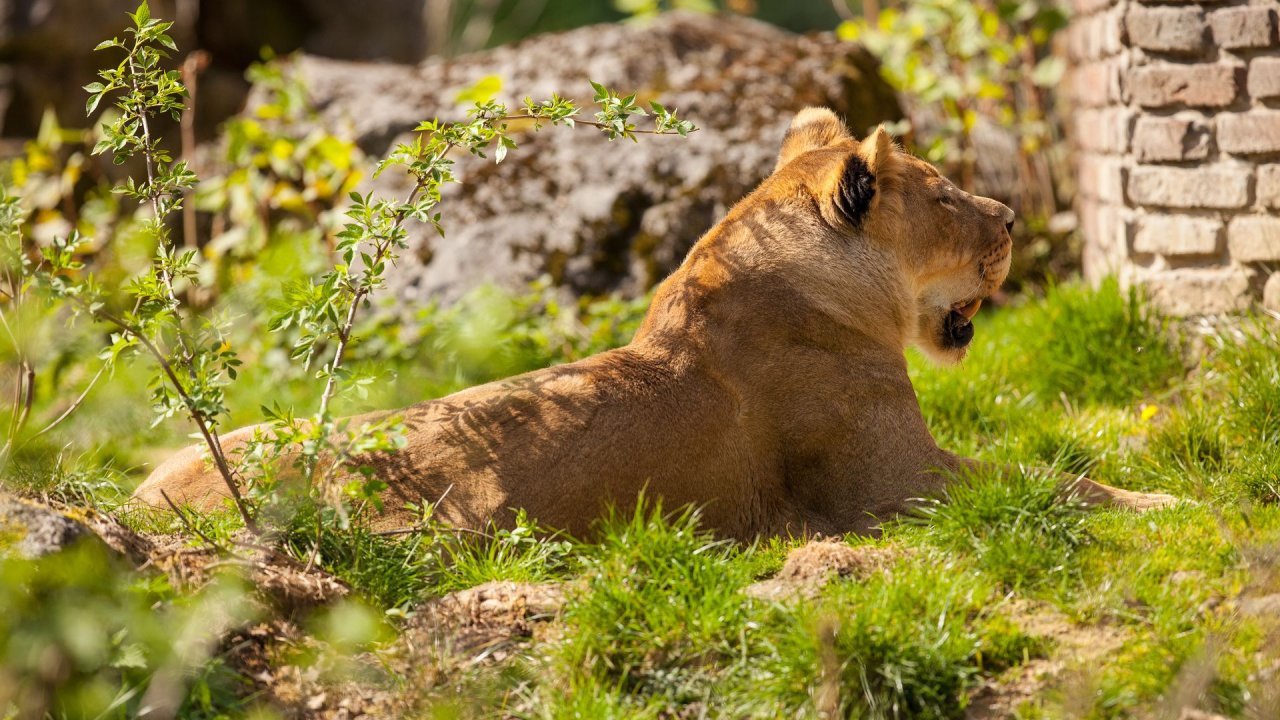 Zoo Duisburg-2017-089