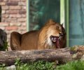 Zoo Duisburg-2017-092