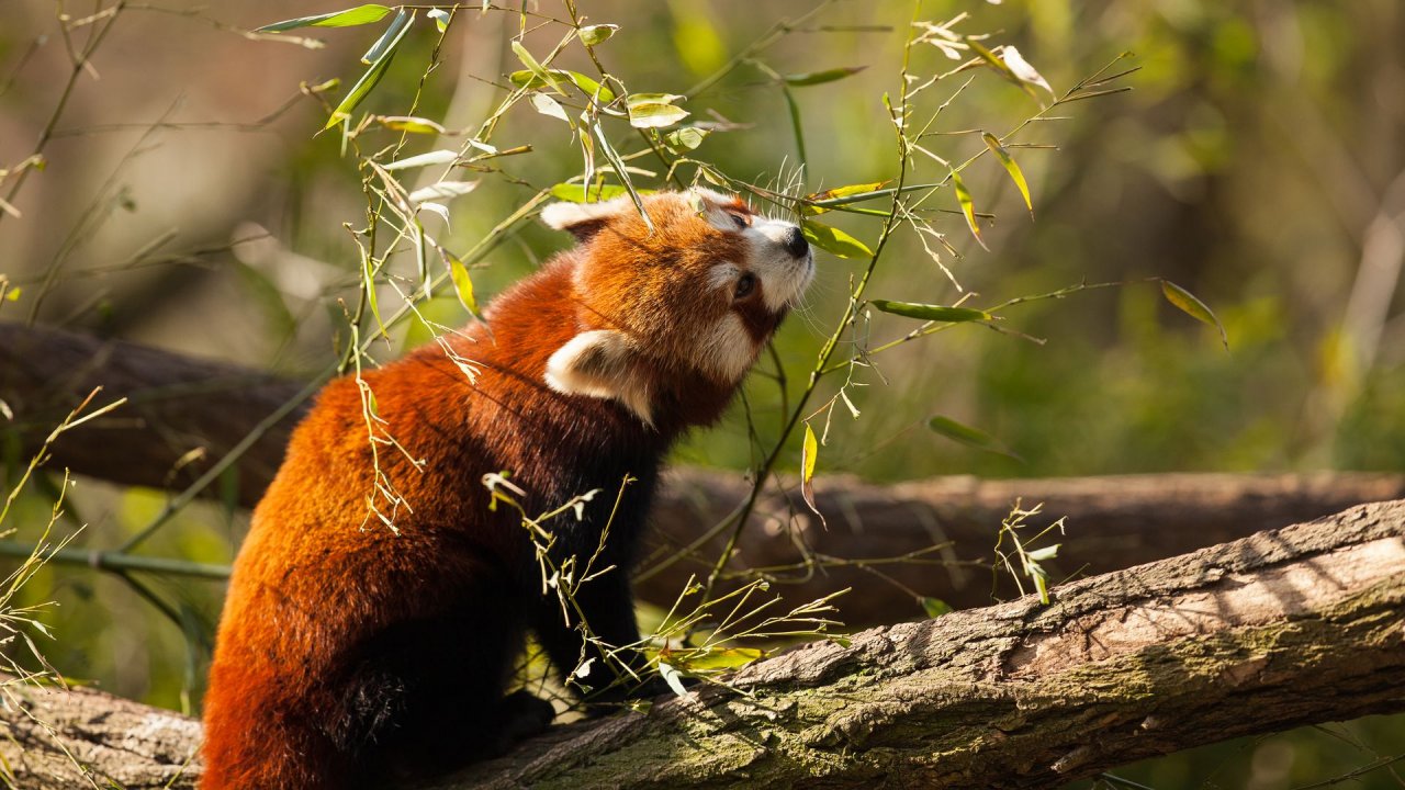 Zoo Duisburg-2017-095
