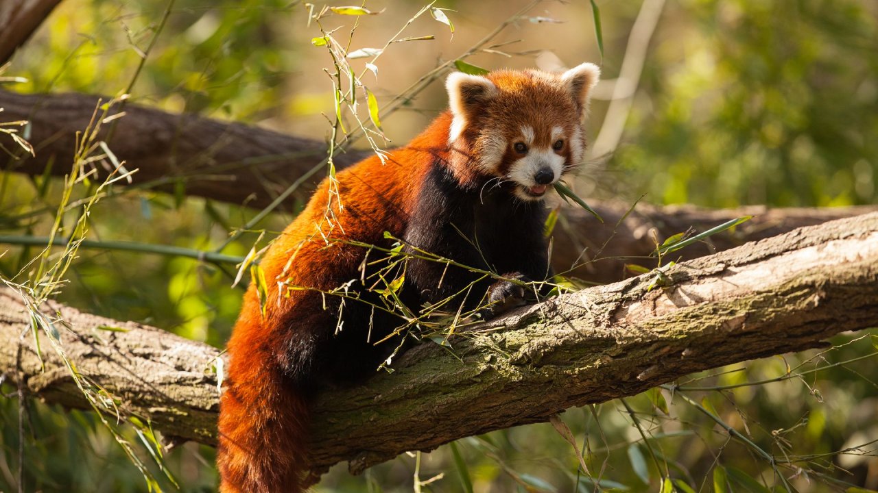 Zoo Duisburg-2017-096
