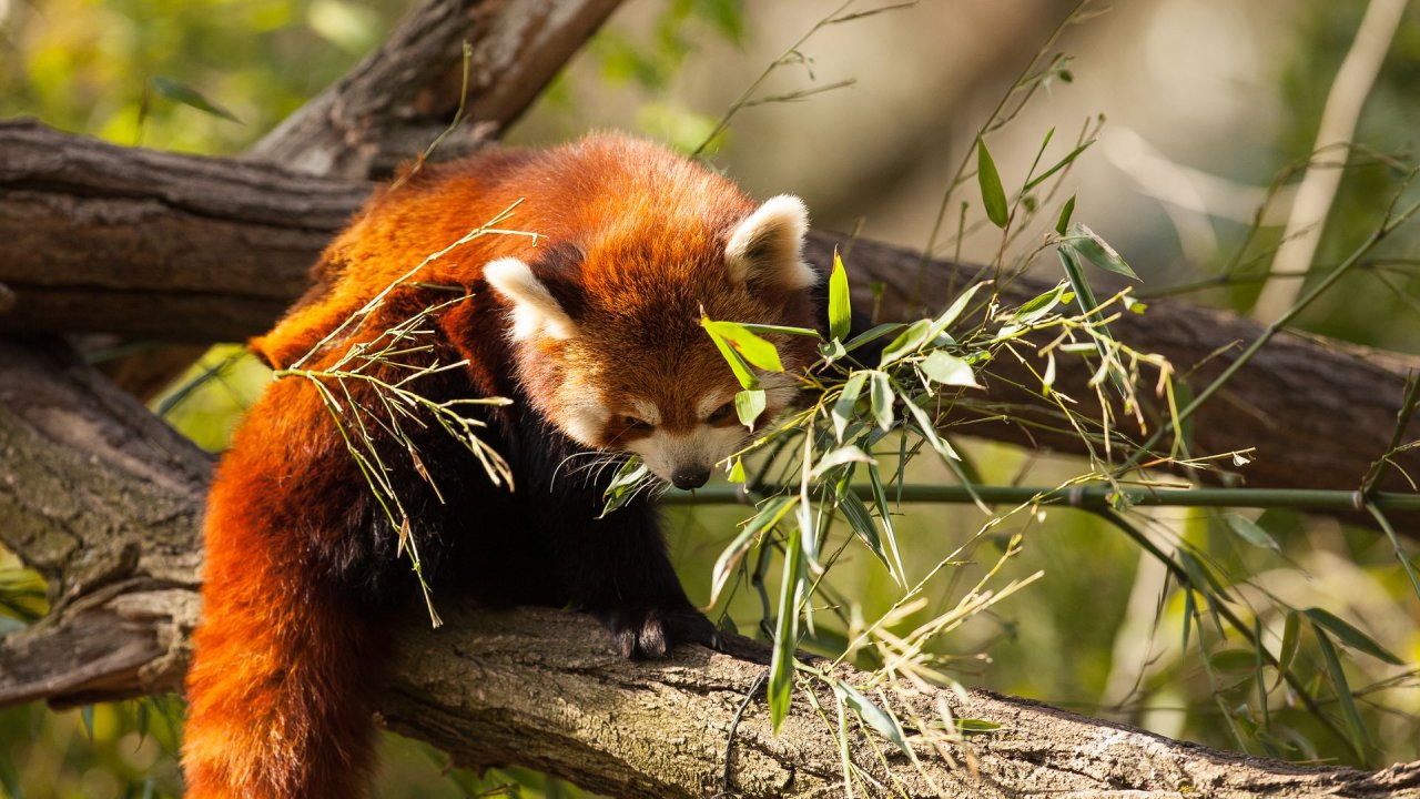 Zoo Duisburg-2017-097