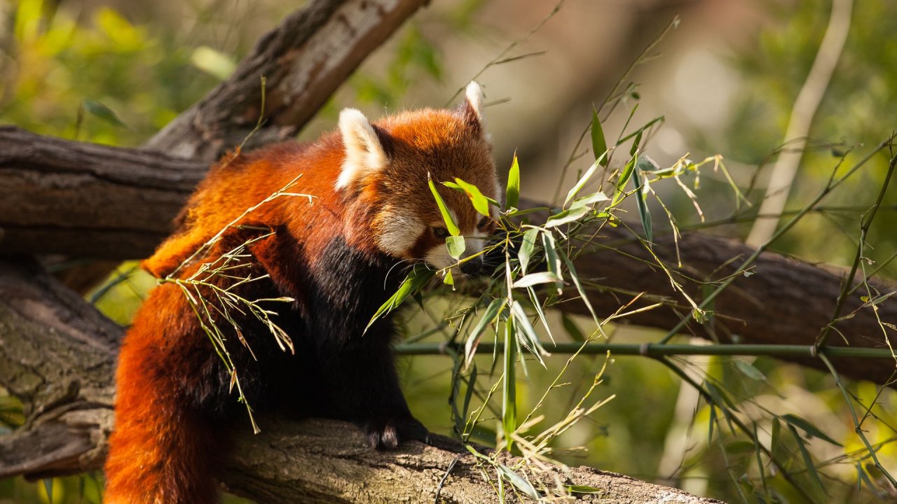 Zoo Duisburg-2017-098