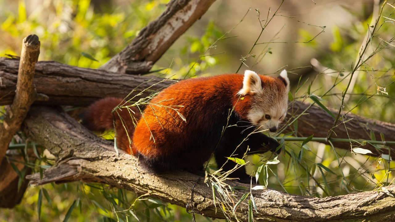 Zoo Duisburg-2017-099