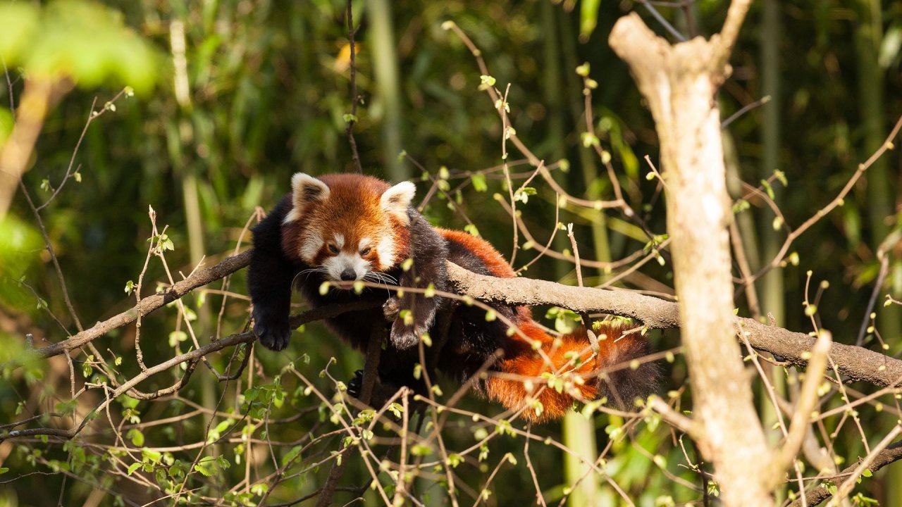 Zoo Duisburg-2017-101