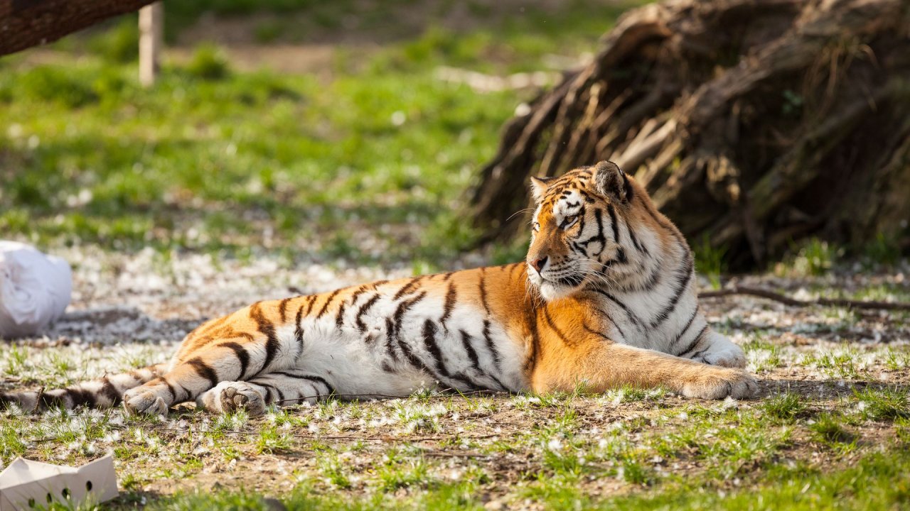 Zoo Duisburg-2017-114