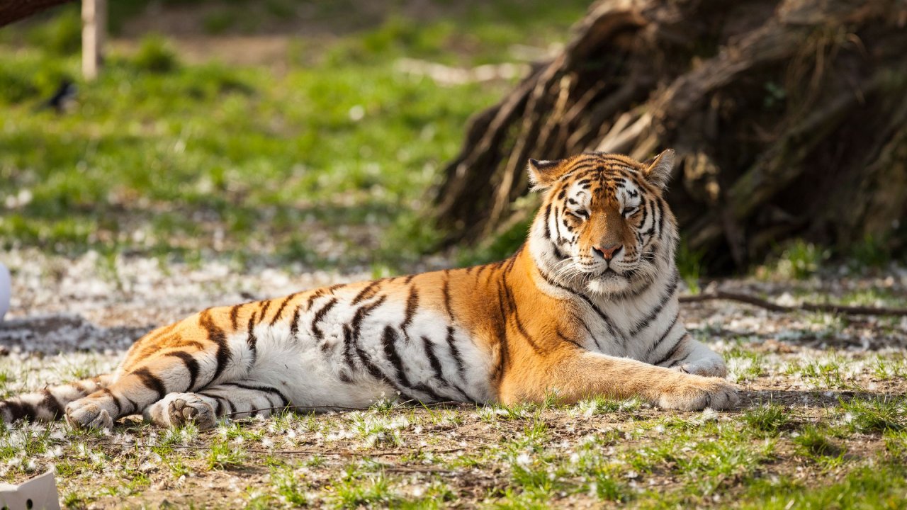 Zoo Duisburg-2017-115