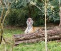 zoo duisburg 2019 zoo duisburg 2019