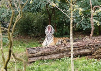 Zoo Duisburg 2019