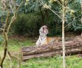 zoo duisburg 2019 zoo duisburg 2019