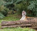 zoo duisburg 2019 zoo duisburg 2019