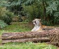 zoo duisburg 2019 zoo duisburg 2019