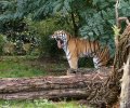zoo duisburg 2019 zoo duisburg 2019