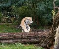 zoo duisburg 2019 zoo duisburg 2019