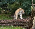 zoo duisburg 2019 zoo duisburg 2019