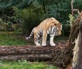 zoo duisburg 2019 zoo duisburg 2019